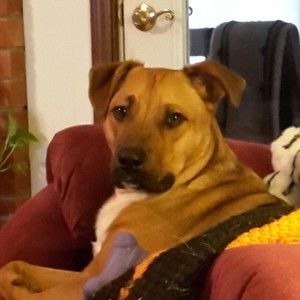 Meet your Posher, Sherry